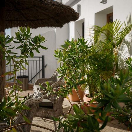 Las Palmeras Del Califa Vejer de la Frontera Exterior foto