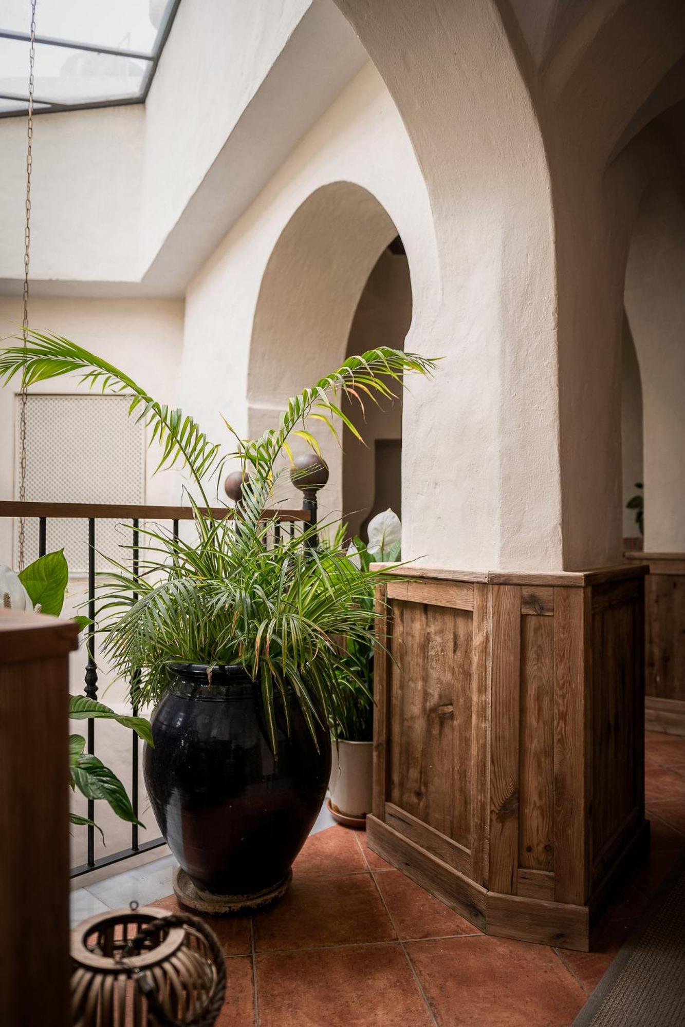 Las Palmeras Del Califa Vejer de la Frontera Exterior foto