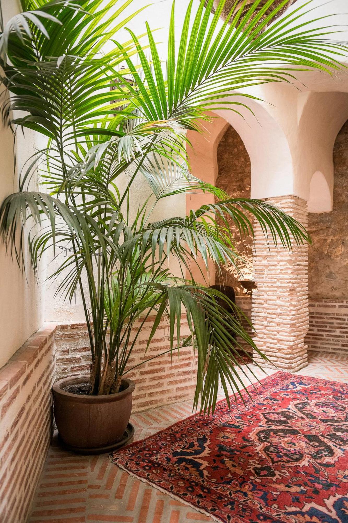 Las Palmeras Del Califa Vejer de la Frontera Exterior foto