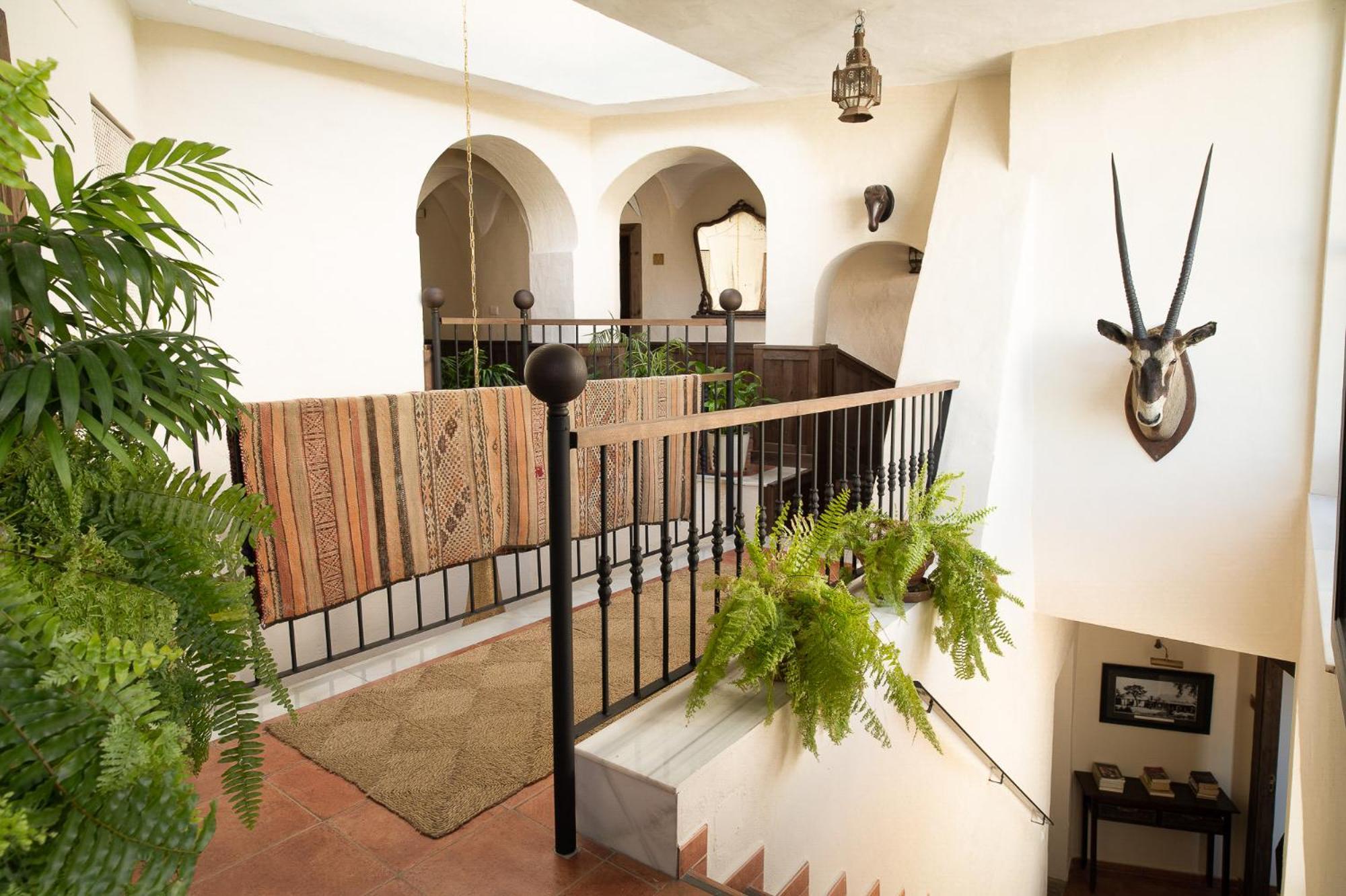 Las Palmeras Del Califa Vejer de la Frontera Exterior foto