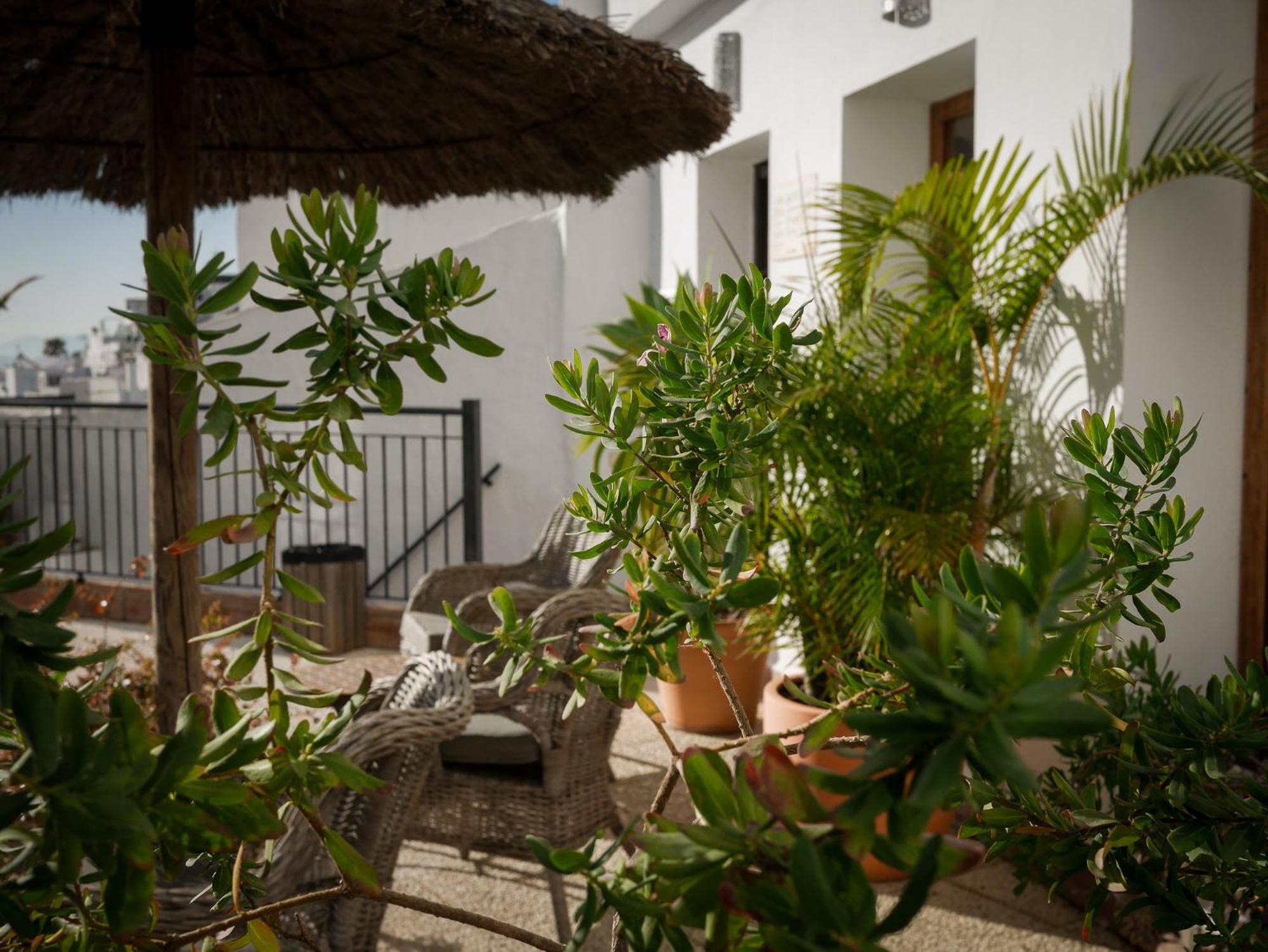 Las Palmeras Del Califa Vejer de la Frontera Exterior foto